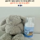 궁중비책X몰티즈 콜라보 키즈 페이셜클렌저 추천 궁중비책 키즈 버블 페이셜 클렌저