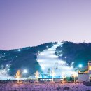 수안보이글벨리스키리조트 이미지