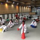 유나이티드 미르태권도장 이미지