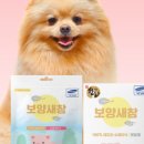 행복한새참 이미지