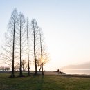 두물머리 이미지