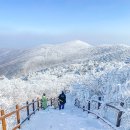 보람여행사 - 구미시 금오산로14길 2 | 보람여행사