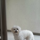 다정마트 이미지