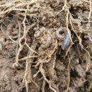 달님농장 이미지