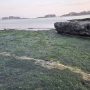 우리집수산 - 미추홀구 경인로485번길 14 | 우리집수산