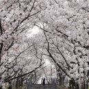 침산공원(A) 이미지