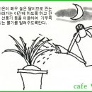 한국춘란의 칠월(07)달 관리배양/반과현상과 단상(646) 이미지