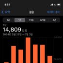 샤크빌리지6 이미지