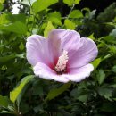 한국자산관리공사 통영지사 이미지