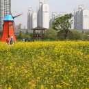 상동호수공원 이미지