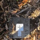 청원초교 이미지