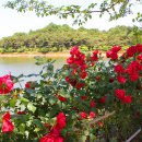 풍암호수공원 이미지