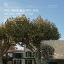 미디어나무 주식회사 이미지