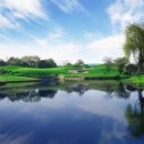 서부골프 이미지