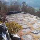 성우행정사 사무소 이미지