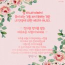 온리원(only one) 이미지