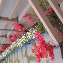 남해미조로즈렌트하우스 | 남해미조로즈렌트하우스