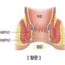 라파엘외과의원 이미지