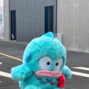 시장순대 이미지