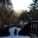 용은산 티스토리