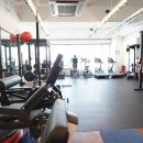 포레스트 짐 이미지