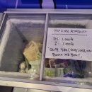 주안역술집 '압구정편의점 주안점' 딱새우와 우니 조합이 대박이에요