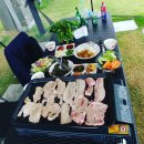 천생태권도 | [코스트코 가제보 사용 후기]전원주택 마당에 그늘막, 가제보 직접 설치 및 사용 후기~코스트코...