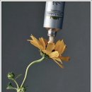 청수미용실 | 헤어아이엔지 청수점에서 경험한 천안청수동미용실 디오럼 모발케어 후기