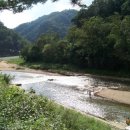 팔봉산관광지 야영장 이미지