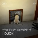 경기도 수원시 권선구 권선로 564 (세류동) 네이버블로그