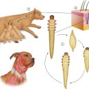삼양동물병원 이미지