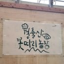용행농장 | 영암 꽃따리 농장 🌸 전남 근교 가볼만한 곳, 아이랑 즐기기 딱 좋은 체험 농장