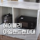 몰리아일랜드 | 헤이몰리 아일랜드 렌지대 밥솥장 내돈내산 후기