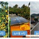 세딸농원