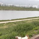 금산카센타 | [경남/양산] 찐빵에서 탈출하기 내돈내산 양산 모닝 썬팅