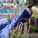 서울선사초등학교 이미지