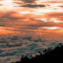 고대1114 이미지