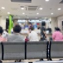 나우벽지 | 닥터나우 비대면진료 어플 전화 처방전 진료비 후기