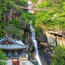 입장료.주차료.다 무료 폭포 품은 출렁다리 명소 이미지