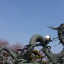 신명길R 이미지