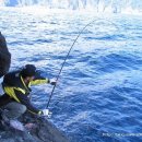 균스포츠 이미지