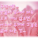 정감이간다 이미지