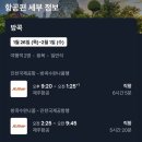 5박7일 태국 여행 준비 : 제주항공 / 방콕 호텔 & 파타야 호텔 / 말톡 유심 / 꼬란섬투어 / 차오프라야...