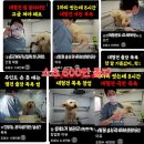 멍빨DAY 네이버블로그