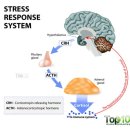 가람한의원 이미지