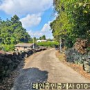 세화 교차로 이미지