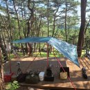 영월 고기조개 이미지