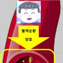 진동애견