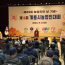 계룡시민체육관 이미지