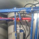 조종새싹로 이미지